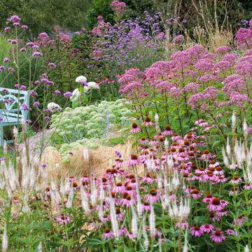 Massif naturaliste pour 2m²