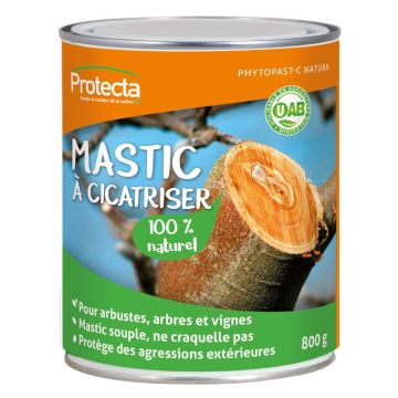 Mastic à cicatriser naturel Protecta UAB boîte de 800g 