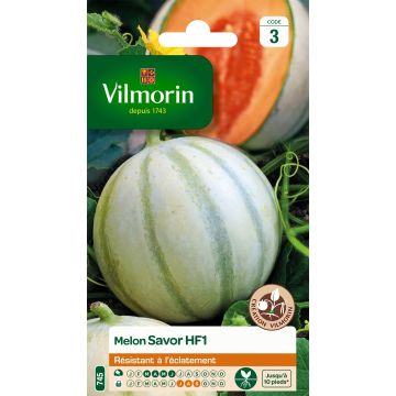Melon Savor F1 (Création Vilmorin) - Vilmorin