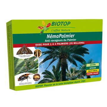 Nématodes NémaPalmier Biotop contre les ravageurs du palmier 