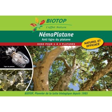 Nématodes NémaPlatane Biotop contre les tigres du platane boîte de 100 millions