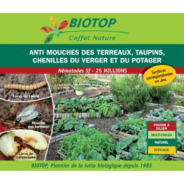 Nématodes Sf Biotop (25 millions) contre les mouches des terreaux, taupins, chenilles du potager et du verger, fourmis.