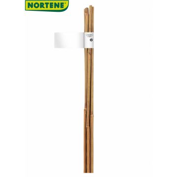 Tuteur bambou naturel lot de 2  (Ø 10/12 mm x 1,50 m) BAMBOO