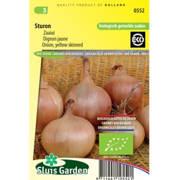 Oignon Sturon Bio - Allium cepa