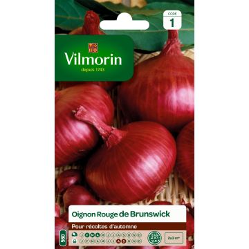 Oignon rouge de Brunswick - Vilmorin