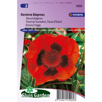 Graines de Pavot d'Orient (Oosterse Klaproos) - Papaver orientale