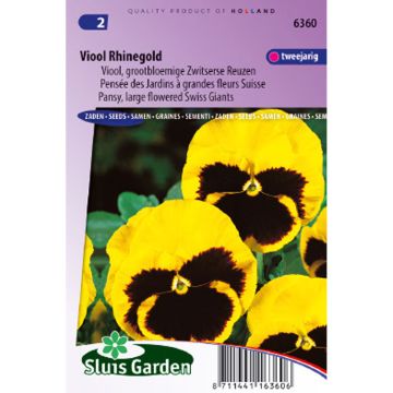 Graines de Pensée géante de Suisse Rhinegold - Viola x wittrockiana