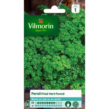 Persil frisé vert foncé - Vilmorin