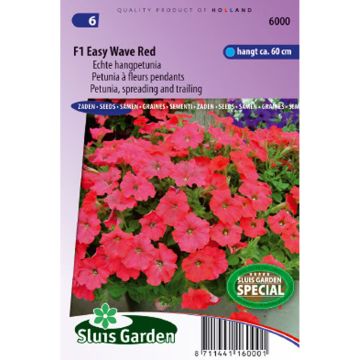 Graines de Pétunia retombant F1 Easy Wave Red 