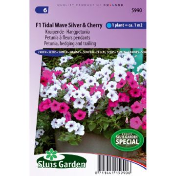 Graines de Pétunia retombant F1 Tidal Wave Silver & Cherry Red