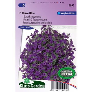 Pétunia retombant F1 Wave Blue - Petunia x hybrida hedgiflora