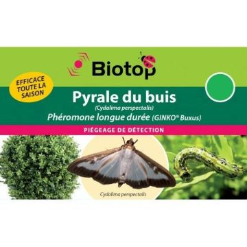 Phéromone Pyrale du buis Cydalima perspectalis - 2 capsules Longue durée GINKO BUXUS