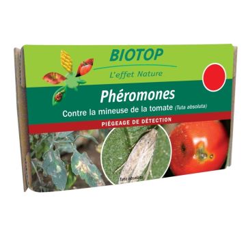 Phéromones Mineuse de la tomate Tuta absoluta Biotop - 2 capsules