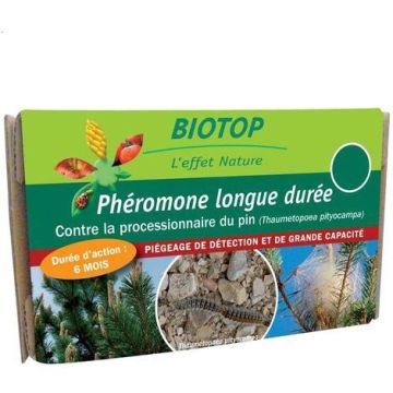 Phéromones Thaumetopoea pityocampa - Processionnaire du pin