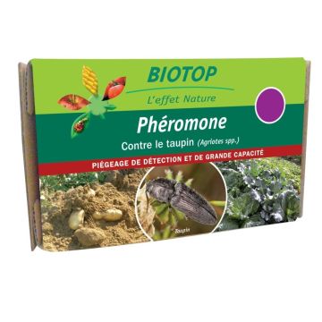 Phéromones Taupin (Agriotes) Biotop - 1 capsule
