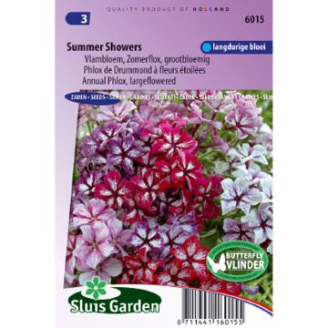 Graines de Phlox drummondii Summer Showers en mélange - Phlox de Drummond 