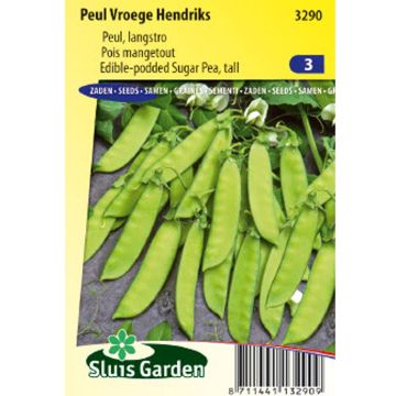 Pois à rames Vroege Hendriks mangetout - Pisum sativum