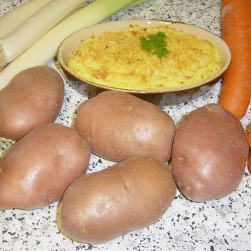Pommes de terre Desiree - Sac de 25 plants