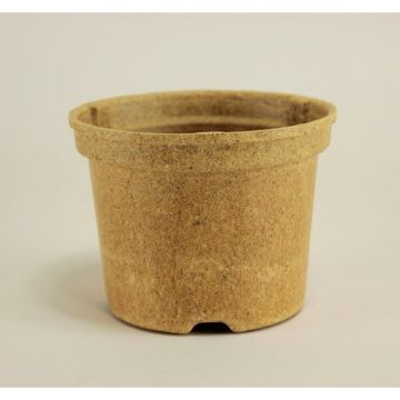 Pot rond Biocompostable Napac Ø10,5 cm - vendu par 5