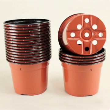 Pots rond terracotta