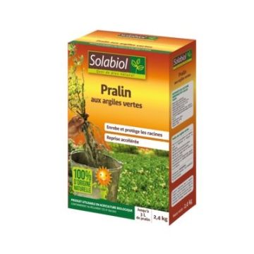 Pralin aux argiles vertes Solabiol