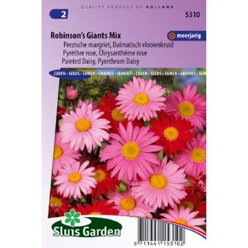 Graines de Pyrèthre Robinson's Giants en mélange - Chrysanthemum coccineum