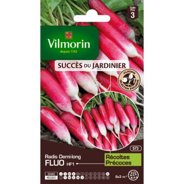 Radis Fluo F1 (Création Vilmorin) - Vilmorin