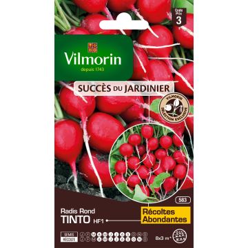 Radis Tinto F1 (Création Vilmorin)  - Vilmorin