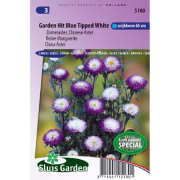 Graines de Reine-marguerite Garden Hit Blue Tipped White