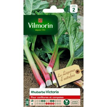 Rhubarbe Victoria - Vilmorin