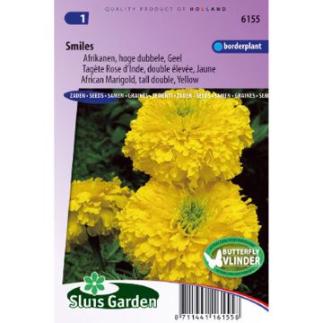 Graines de Rose d’Inde Smiles - Tagetes erecta