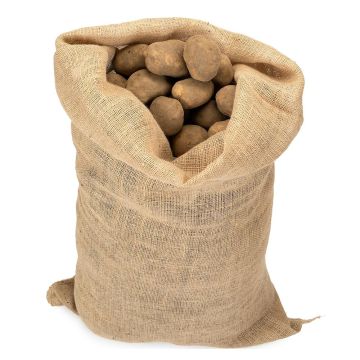 Sac en jute spécial pommes de terre 215 g/m2 contenance 25 kg 51 x 79 cm La Cordeline