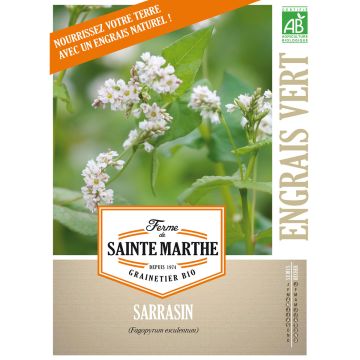 Sarrasin esculentum AB - Ferme de Ste Marthe