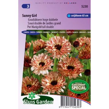 Souci double de Jardin Sunny Girl - Calendula officinalis