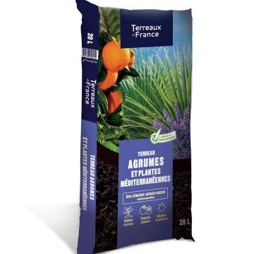 Terreau pour agrumes et plantes méditerranéennes