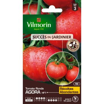 Tomate Agora F1 - Vilmorin