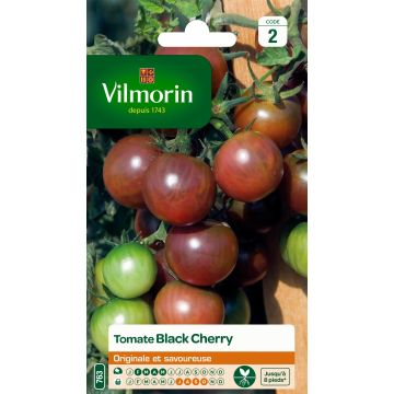 Tomate Black Cherry - Tomate cerise noire - Vilmorin