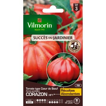 Tomate Corazon F1 - Vilmorin - Cœur de bœuf  hybride 