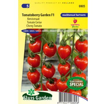 Tomate Gardenberry F1 - Tomate-cerise