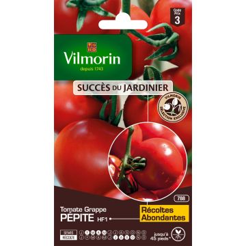 Tomate Pépite F1 (Création Vilmorin) - Vilmorin