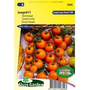 Graines de Tomate Fandango Hyb F1