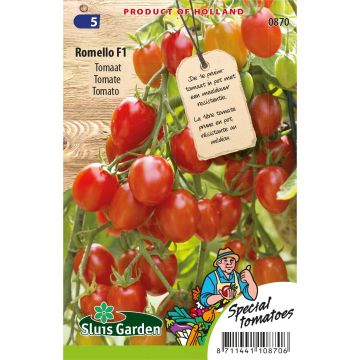 Tomate cerise Romello F1