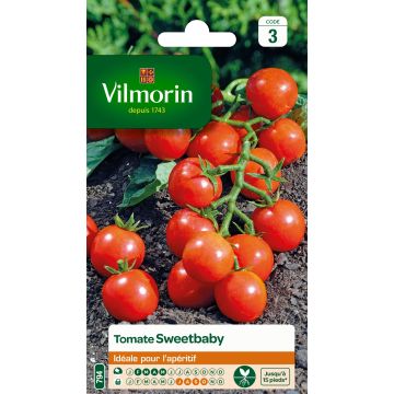 Tomate cerise Sweetbaby - Graines Vilmorin