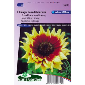 Graines de Tournesol Magic Roundabout F1 - Helianthus annuus