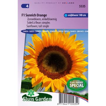 Tournesol Sunrich Orange F1 - Helianthus annuus