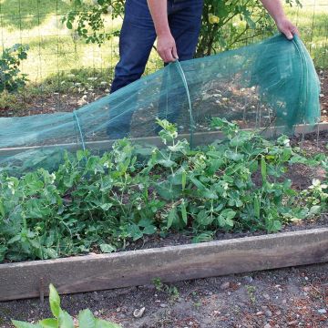 Arceau rigide pour tunnel à tomates - H 180 x 32cm - Jardinet