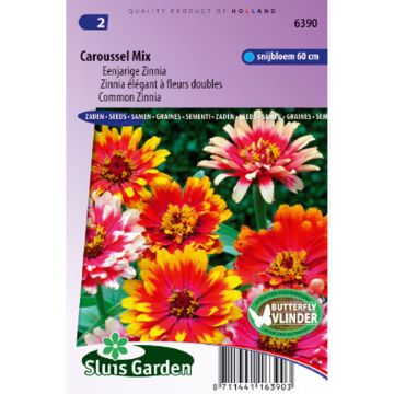 Graines de Zinnia elegans Carrousel en mélange