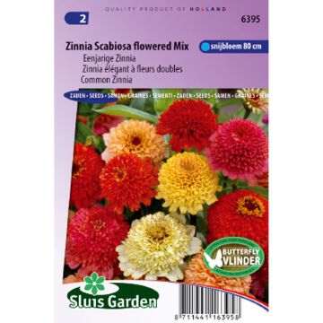 Graines de Zinnia elegans à fleur de Scabieuse en mélange