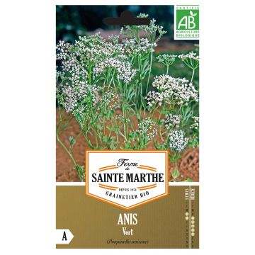 Anis vert Bio - Ferme de Sainte Marthe