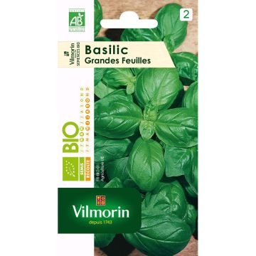 Basilic à grande feuille Bio - Vilmorin